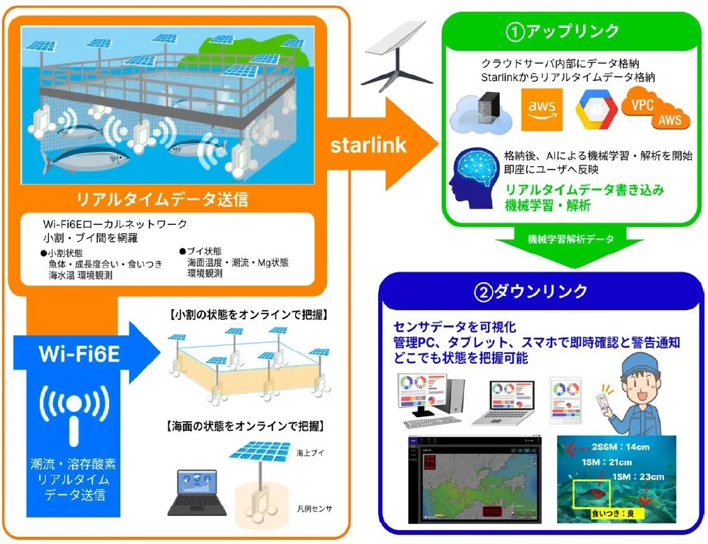 赤潮予測モデルの概要図