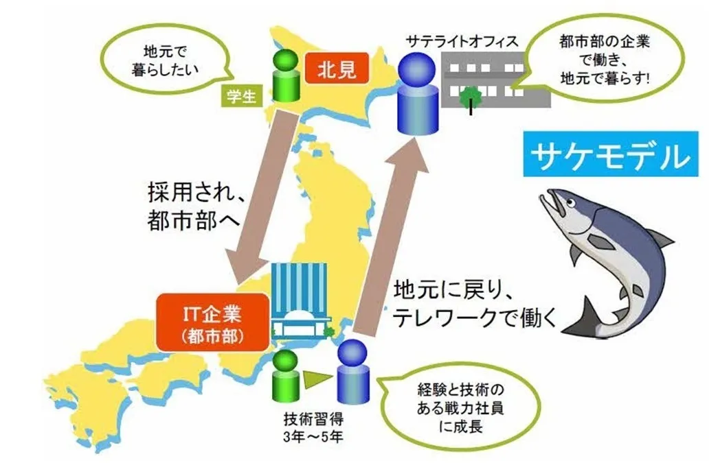 サケモデルの図版