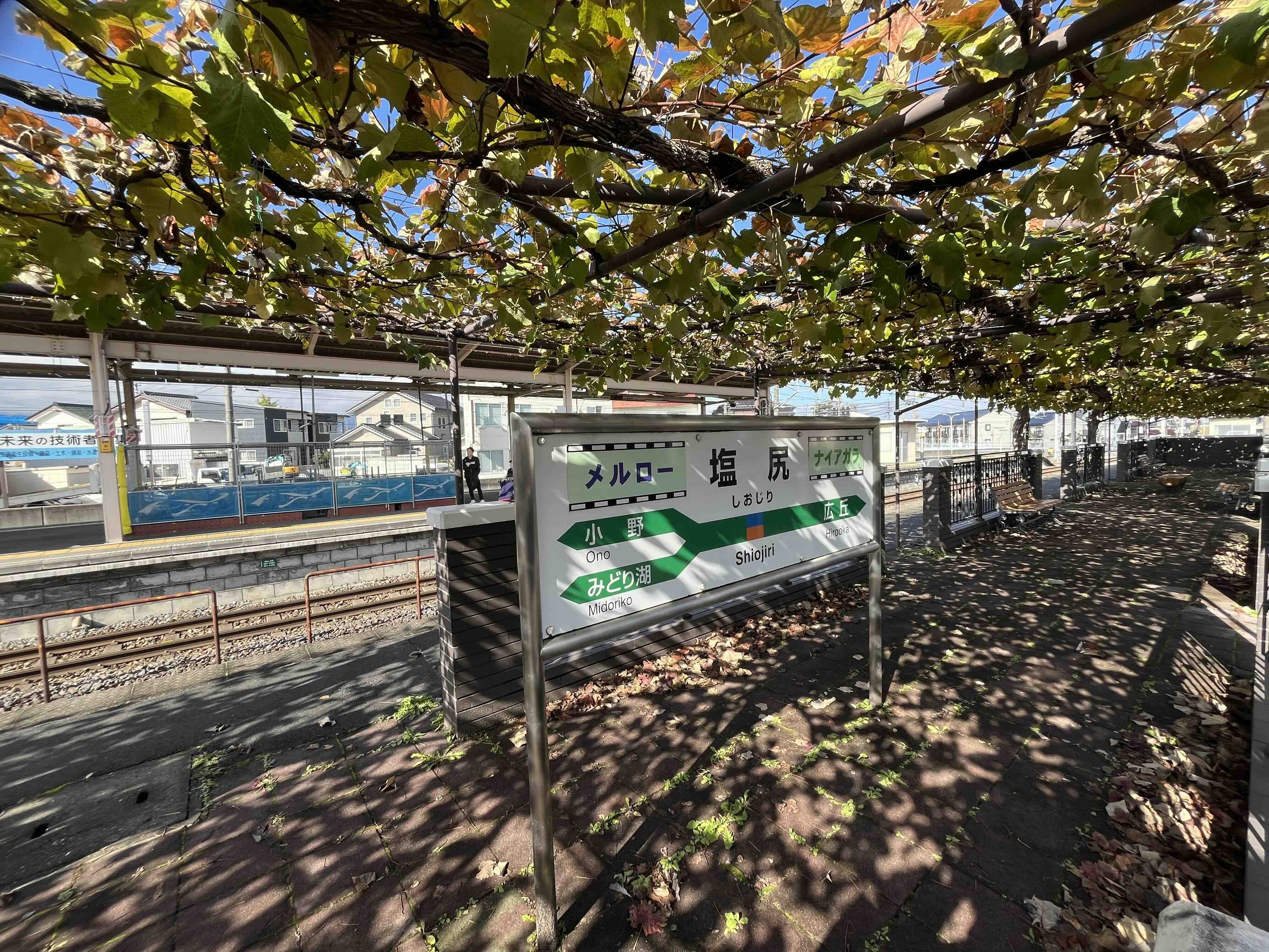 塩尻駅ホームのぶどう園の写真