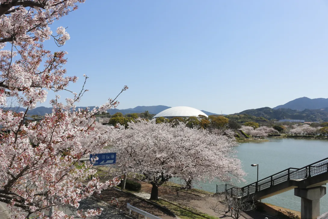 福岡県粕屋町の風景