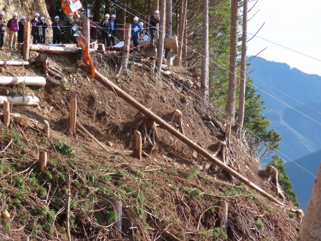 林業機械の遠隔操作を確認する徳島県那賀町の実証現場の様子